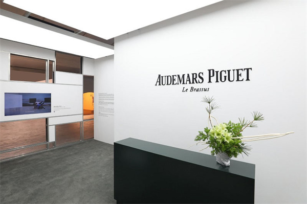 爱彼腕表表针变色解决技巧汇总(图) 爱彼腕表表针变色解决技巧汇总(图)